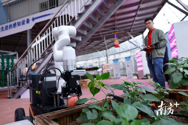 “智慧小院”内部场景。